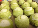 摩可納（Moccona）經(jīng)典8號凍干速溶黑咖啡100g瓶裝 深度烘焙進(jìn)口拿鐵美式冷萃0脂0糖 曬單實(shí)拍圖