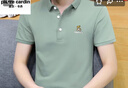 皮爾卡丹短袖T恤男棉夏季翻領(lǐng)polo體恤衫上衣服男士短袖男裝t恤打底衫 177淺綠 XL （125-140斤） 曬單實拍圖