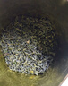 三隱 茶葉 綠茶2025新茶雨前春茶云霧高山綠茶濃香型袋裝500g自己喝 曬單實(shí)拍圖