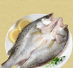 鮮活沖浪河鱸魚(yú)400-500g/條 曬單實(shí)拍圖