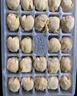 袁記味享鮮蝦蟹籽云吞500g 手工包制餛飩餃子水餃 兒童早餐抄手 袁記云餃 曬單實(shí)拍圖