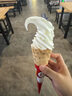 果坊【2025新款美國MFI認(rèn)證】有線耳機(jī)type-c適用于蘋果iPhone16/15/14平板ipad半入耳式3.5mm圓孔降噪 Type-c接口【蘋果15/16全系列】 官網(wǎng)原版認(rèn)證·HiFi無損 曬單實(shí)拍圖