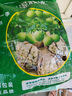 鮮級佳大涼山新鮮濕核桃去青皮嫩核桃老樹薄紙皮核桃孕婦專用生核桃新貨 凈重5斤【去青皮】送夾子 曬單實拍圖