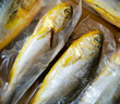 鮮京采 冷凍三去黃花魚(寧德大黃魚)1700g (5條裝)  禮盒  生鮮 海魚 曬單實(shí)拍圖