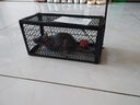 歐克樂（Ou Ke le）強力粘鼠板老鼠貼老鼠夾加大加厚增量膠水物理滅鼠捕鼠神器黏鼠板 曬單實拍圖