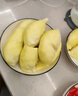 京鮮生 進(jìn)口金枕頭榴蓮 凈重5-6斤 1個(gè)裝  鮮果 生鮮 新鮮水果 曬單實(shí)拍圖