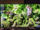 三星（SAMSUNG）27英寸 G81SF QD-OLED 4K 240Hz 0.03ms 防燒屏防眩光超薄設(shè)計(jì)玄龍騎士 電競(jìng)顯示器LS27FG812SCXXF 曬單實(shí)拍圖