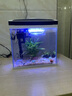 長(cháng)銳魚(yú)缸一體缸自循環(huán)免換水家用客廳桌面小型金魚(yú)缸超白玻璃養魚(yú)缸 超白CRV280標準款+水蘭青竹景（真水草） 曬單實(shí)拍圖