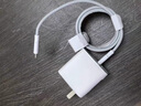 摯爵適用華為Pura70Pro+充電器100W快充pura70手機充電頭66w閃充pura70ultra充電器Turbo快充雙C口套裝 Max66W 閃充頭【單頭不含線】 曬單實拍圖