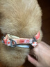 TOUCHDOG它它狗狗牽引繩胸背帶可調(diào)節(jié)狗繩狗鏈中小型犬泰迪防爆沖 蜜桃粉 S碼（適合5-16斤） 曬單實(shí)拍圖