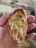 生蠔山東大生蠔鮮活牡蠣肉質(zhì)肥美凈重5斤原產(chǎn)地直發(fā)到家 5斤XL【約28-33個(gè)】清蒸版 曬單實(shí)拍圖