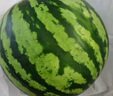 【產(chǎn)地直采】麒麟奶油西瓜 約4.5kg 曬單實(shí)拍圖