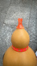 相思鳥(niǎo) 葫蘆絲C調 兒童小學(xué)生初學(xué)練習三音金絲楠竹防摔葫蘆絲樂(lè )器 曬單實(shí)拍圖