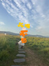 妙麗（Millies）品牌小眾西部牛仔馬丁靴女英倫風(fēng)短靴2025夏季新款涼靴內(nèi)增高女靴 棕色/網(wǎng) 37 (235mm)  標(biāo)準(zhǔn)碼 曬單實拍圖