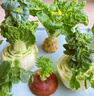水培蔬菜營(yíng)養液陽(yáng)臺室內綠葉無(wú)土栽培肥料地瓜生菜空心菜番薯草莓 水培蔬菜營(yíng)養液 300ml 1瓶 曬單實(shí)拍圖