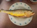 三都港 冷凍寧德大黃魚(yú)700g/2條裝 黃花魚(yú) 生鮮魚(yú)類(lèi) 深海魚(yú) 中秋 曬單實(shí)拍圖