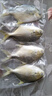 環(huán)球水產(chǎn) 冷凍南海二去金鯧魚900g2條 去鰓去臟 深海魚生鮮魚類  家庭聚餐 曬單實(shí)拍圖