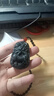 玥兒琬珺天然新疆和田玉墨玉麒麟獻(xiàn)瑞麒麟平安牌瑞獸吉祥物男女玉吊墜 尺寸54*38*10mm配證書珠鏈可復(fù)檢 曬單實(shí)拍圖