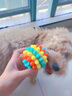 兼至狗狗玩具耐咬磨牙球寵物幼犬小狗玩具解悶自嗨訓犬潔齒刺球 【磨牙潔齒】彩藍色多肉球 曬單實拍圖