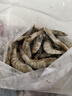 環(huán)球水產(chǎn) 鮮凍白蝦 國產(chǎn)白蝦 去冰凈重4斤80-100只 海鮮 家庭聚餐 送禮 曬單實拍圖