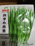 IDEAL理想農業(yè) 四季小香蔥種子陽(yáng)臺盆栽種植蔬菜種籽小蔥種子 約1500粒 曬單實(shí)拍圖
