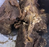 東來順 內(nèi)蒙古羔羊原切去骨羊后腿肉2斤 BBQ燉煮燒烤串 清真中華老字號(hào) 曬單實(shí)拍圖