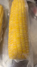 十月稻田 黃糯玉米 3.52斤(220g*8根) 東北甜黏玉米棒 早餐苞米 真空包裝 曬單實(shí)拍圖