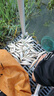 富源百川317二代綜合魚竿鯽魚竿鯉魚臺(tái)釣手桿釣魚桿碳素超輕超硬魚桿7.2m 曬單實(shí)拍圖