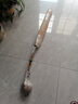 桂花樹(shù)苗盆栽室內(nèi)四季桂花卉植物金桂丹桂庭院大樹(shù)濃香型綠植開(kāi)花 【四季桂】粗1.5cm 高1-1.2米土球發(fā)貨 曬單實(shí)拍圖
