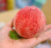 京鮮生山東青州蜜桃凈重4.5斤裝 單果80g+ 生鮮水果 源頭直發(fā)包郵 曬單實(shí)拍圖