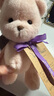 莉娜熊（TeddyTales）小熊玩偶毛絨玩具泰迪手作熊公仔娃娃生日禮物女生 嫩粉色 小號站姿約20cm 曬單實(shí)拍圖