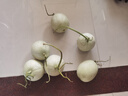 玉菇甜瓜冰淇淋現(xiàn)摘正宗新鮮水果整箱當季水果香瓜冰淇淋 【超值裝】 9斤(凈重8.5斤) 曬單實拍圖