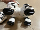 奧智嘉機(jī)器狗兒童玩具3-6歲男孩生日禮物遙控汽車機(jī)器貓AI智能機(jī)器人 曬單實(shí)拍圖