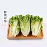 【高山鮮】鐘靈山羅馬生菜400g 曬單實拍圖