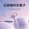 米家小米電吹風(fēng) 速干吹風(fēng)機(jī) H301薄霧紫 負(fù)離子護(hù)發(fā) 禮物推薦  曬單實(shí)拍圖