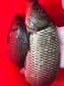 漁之源釣魚(yú)炮臺支架高硬臺釣小蜻蜓碳素支架桿釣箱釣椅配件2.7m 曬單實(shí)拍圖