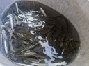 任鳥(niǎo)飛魚(yú)網(wǎng)蝦籠捕魚(yú)籠神器自動(dòng)折疊抓黃鱔籠捕蝦網(wǎng)工具漁具魚(yú)籠網(wǎng)籠籠子 曬單實(shí)拍圖