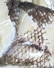 銀鯧魚(yú)1斤4條 魚(yú) 舟山漁場(chǎng)新鮮冷凍野生海捕白鯧魚(yú)深海平魚(yú)昌魚(yú) 舟山鯧魚(yú)【2斤】-共發(fā)8-9條 曬單實(shí)拍圖