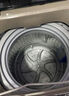 志高（CHIGO）全自動洗衣機 家用小型波輪 洗脫一體機大容量 公寓宿舍出租房 10KG咖啡金【藍光洗護+風干潔桶+強電機】 曬單實拍圖