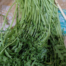 蒿子桿300g 曬單實(shí)拍圖