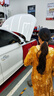 勝牌（VALVOLINE）金皇CBA聯(lián)名 全合成機(jī)油 汽機(jī)油 發(fā)動(dòng)機(jī)潤滑油5W-30 SP級(jí) GF-6 4L 曬單實(shí)拍圖