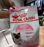 皇家幼貓貓糧 幼貓奶糕 K36 通用糧 4-12月 2KG 曬單實拍圖