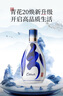 汾酒 青花20升級版 清香型白酒 53度500mL 單瓶（新版新包裝） 曬單實(shí)拍圖