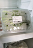 本地雞毛菜300g 曬單實(shí)拍圖