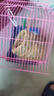 鳥籠鸚鵡籠子虎皮鸚鵡小鳥籠子專用家用大號(hào)牡丹八哥玄鳳豪華別墅 櫻桃紅（長30*寬22*高38cm） 基礎(chǔ)+飲水機(jī)+勺子+谷子+鳥窩 曬單實(shí)拍圖