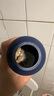 VETWISH節倍力醫護版狗狗鯊魚(yú)軟骨素 寵物狗狗關(guān)節保護健骨 醫護版180g 曬單實(shí)拍圖