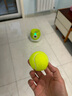 華元寵具（hoopet）狗狗玩具球網(wǎng)球發(fā)射器自動發(fā)球機耐咬訓犬解悶逗狗神器邊牧玩具 【充電款】發(fā)球機+3網(wǎng)球 參照選項購買 曬單實拍圖