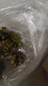 魚(yú)缸造景凈化水質(zhì)肚兜萍水浮萍槐葉萍懶人水草一葉蓮浮萍養魚(yú)龜水 肚兜萍1棵（?。?曬單實(shí)拍圖