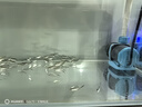 創(chuàng)寧變頻潛水泵 CN-9500-18W 10檔流量調(diào)節(jié) 魚缸假山噴泉池循環(huán)抽水 曬單實(shí)拍圖