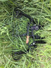 STARCN惡棍復合弓戶(hù)外射箭射擊成人車(chē)載大威力高精度獵弓魅影兩用鋼珠弓 新手入門(mén)套裝 曬單實(shí)拍圖